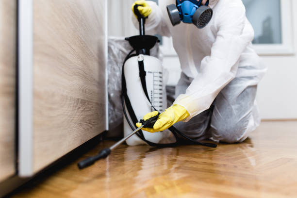 Best Best Pest Control Companies  in Sto Brook, NY