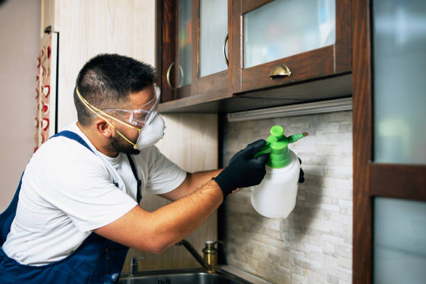 Best Mosquito Control Services  in Sto Brook, NY