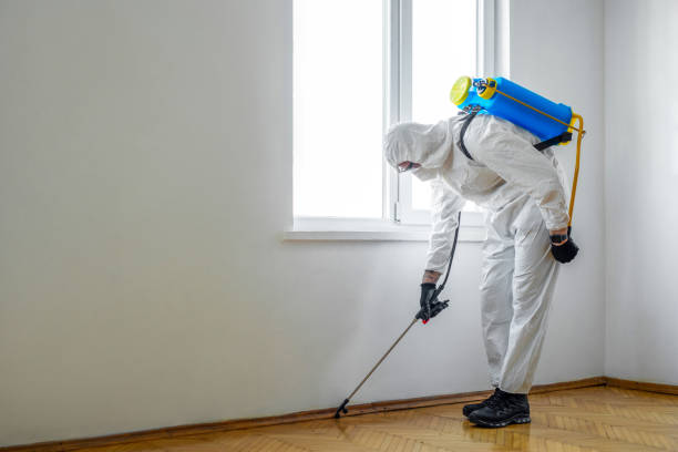 Best Pest Control for Businesses  in Sto Brook, NY