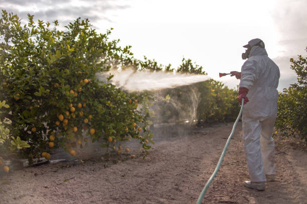 Pest Control for Restaurants in Stony Brook, NY