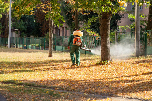 Spider Control Near Me in Stony Brook, NY